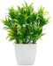 OFFIDIX Faux Plants Mini Potted Plastic Fake Green Plant Artificial Plants Aloe with White Square Pots for Home Decor (White Square Plastic Pots)...
