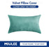 MIULEE Velvet Pillow Cover Soft Luxury Decorative Throw Pillow Cover Single Rectangle Cushion Case for Spring Couch Sofa Bedroom Car Decor,12x20 I...