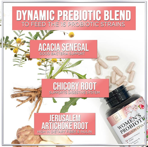 Probiotics for Women with Prebiotics, 90 Billion CFU & 16 Diverse Strains, Cranberry & D-Mannose, Extra Strength Womens Probiotic for Digestive, V...