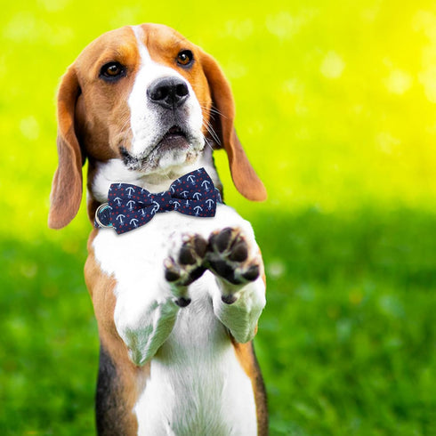 azuza Anchor Dog Collar with Bow Tie, Soft and Comfortable Bowtie Dog Collar, Adjustable Dog Collar for Medium Dogs...