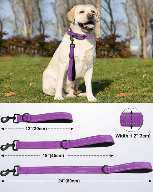 Joytale Strong Short Dog Leash 2FT, 1.2 Inch Wide Heavy Duty Traffic Leash for Dogs with Padded Handle, Short Leash for Dog Training Control, Refl...