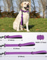 Joytale Strong Short Dog Leash 2FT, 1.2 Inch Wide Heavy Duty Traffic Leash for Dogs with Padded Handle, Short Leash for Dog Training Control, Refl...