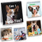 Fancy Land Funny Desk Signs for Dog Lovers 30 Different Fun and Flip-Over Messages for Office Desk Accessories...