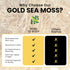 Herb To Body Irish Sea Moss – 4oz, Gold, 100% Wildcrafted from Saint Lucia, Raw and Dried Sea Moss, Vegan Superfood with 90+ Minerals, Non-GMO...