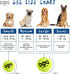 Squeaky Tennis Balls for Dogs Colorful Easy Catching Pet Dog Balls 12 Pack (2.0inch-6colors)...