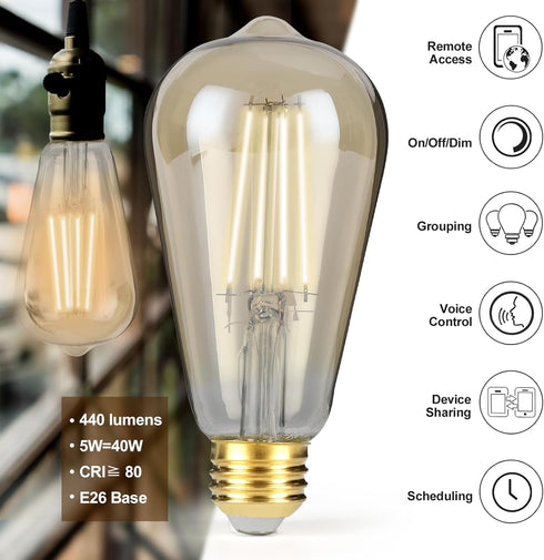 Smart LED Filament Bulb, Smart Light Bulbs Bluetooth and WiFi Vintage Filament Light Bulb Work with Alexa & Google Home, ST19 Smart Edison Bulb 21...
