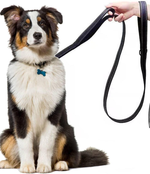 6FT Orange Strong Dog Leash with 2 Padded Handles, Traffic Handle Extra Control, Double-Sided Reflective Walking Lead for Small Medium and Large D...