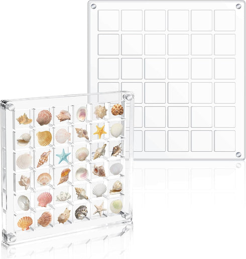 Acrylic Magnetic Seashell Display Box, 2 Different Sizes 36 Grids Clear Seashell Storage Box Decorative Seashell Starfish, Small Craft Organizers ...