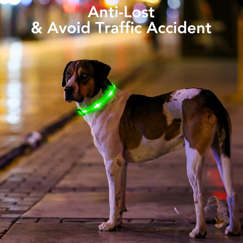 Light Up Dog Collars - Rechargeable LED Dog Collar - Reflective Pet Collar - Adjustable Lighted Dog Collar for Medium Dogs (Green, Medium Collar)...