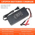 14.6V 3A LiFePO4 Battery Charger, Smart Battery Charger for 12.8V Lithium Iron Phosphate Battery, Trickle Charger Battery Maintainer, Built-in Saf...