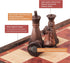 10 Inches Enhanced Magnetic Chess Set, Foldable Chess Board, Travel Chess Game of Exquisite Craftsmanship, Suitable for All Ages Chess Set...