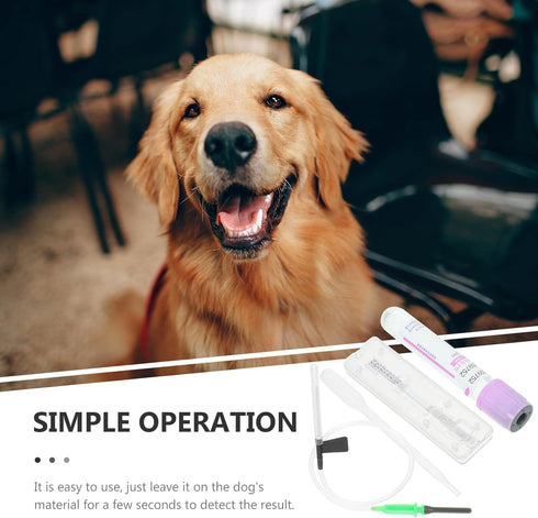 YARNOW 1 Set Dog Pregnancy Test Canine Pregnancy Test Dog Pregnancy Test Kit at Home...