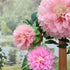 Pinks Flowers Decoration (11''-7'' Assorted) 6 pcs Artificial Tissue Paper Peony Nursery Wall Bridal Shower Centerpiece Baby Girl Birthday Tea Par...