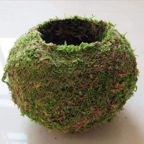 Moss Ball Flower Pot Natural Planter Bonsai Plant Holder Bird Nest for DIY Gardening Home Table Decoration - 15cm...