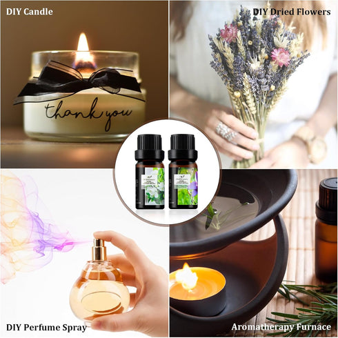 Flower Essential Oils Set, 6x10ml Aromatherapy Oil Gift Kit for Diffuser, Fragrance, Humidifier, Air Purifier- Gardenia, Magnolia, Shangri-La, Jas...