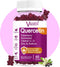 Quercetin Gummies, Organic Quercetin with Vitamin C and Zinc, Bromelain, Elderberry & Vitamin D - Immune Support - 60 Vegan Gummies Chewable...