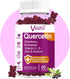 Quercetin Gummies, Organic Quercetin with Vitamin C and Zinc, Bromelain, Elderberry & Vitamin D - Immune Support - 60 Vegan Gummies Chewable...