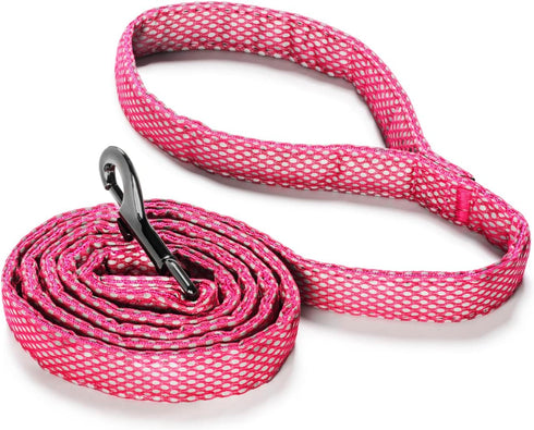 Embark Illuminate Reflective Dog Leash for Night Walking - 5 Ft Long and 3/4 Inch Width Dog Leash for Large Dogs, Made with Reflective Leash Mater...