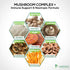 Mushroom Supplement - 10 Mushroom Complex Blend - Lions Mane, Reishi, Turkey Tail, Chaga, Cordyceps, Shiitake, Maitake - Nootropic Brain Supplemen...