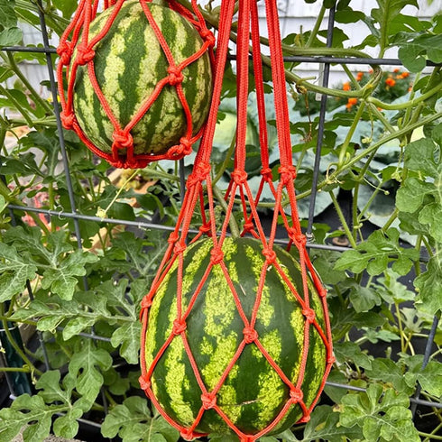Melon Hammocks Cradles, 5 Pack of Nets for Melons, Perfect for Growing Cantaloupe, Watermelon in Vertical Garden (Orange)...