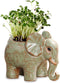 Dahlia Cute Elephant Handmade Ceramic Succulent Planter/Plant Pot/Flower Pot, Son...