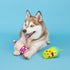 Fringe Studio Dog Toy Set, Best-Teas, 2Pc Mini, Latex, Pet Shop Collection (368012)...