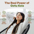 Gotu Kola 10:1 Extract Powder (8 oz), Centella Asiatica | Gluten Free and Non-GMO | Ayurvedic Herbal Supplement...