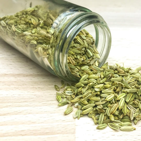 GranAroma Fennel Seeds, 15.2 oz, Whole Seeds, Light Flavor, Cooking & Baking...