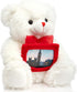 HollyHOME Teddy Bear Stuffed Animal Plush Bear with Red Bow Holding a Picture frame Soft Plush Toy Christmas Valentine's Day Gift 12 Inches White...
