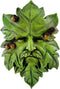 Top Collection Garden Acorn Greenman Hanging Plaque...