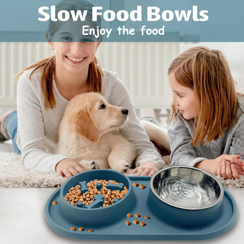 BNOSDM Slow Feeder Dog Bowls Double Puppy Slow Feeder No Spill Non-Skid Silicone Mat Dry Food Slow Eating Bowl Removable Stainless Steel Pet Bowls...