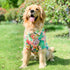 Dog Hawaiian Shirt, Summer Pet Clothes Large Dog Cool Costume Beach T-shirt for Medium Large Dog(Red,7XL)...