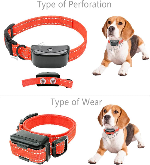 Dog Nylon Collar Strap for Heavy Light-Duty Electronic Fence Training Barking Collar Receivers-3/4 Inch Replacement Strap-Compatible with Nearly A...