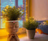 Meltset Face Planters Pots Head Unique Face Flower Pot Head Planter for Indoor Plants Cute Small Succulent Pots Indoor Plant Pot with Drainage (Br...