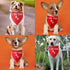 I Do Too Dog Bandana Engagement Wedding Dog Bandanas Wedding Engagement Announcement Photos Puppy Bandana Triangle Bibs Scarf Accessories for Smal...