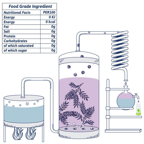 Food Flavoring Oil - 12 Liquid Lip Gloss Flavoring Oil, Concentrated Candy Flavoring, Flavor Oil for Baking, Cooking, Slime Making, Soap, Drinks, ...