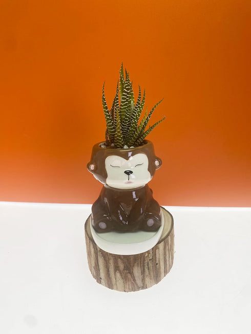 Cute Animal Ceramics Planter Small Succulent Pot Cartoon Shaped Plant Pot for Mini Plants Flower Cactus, Smooth Shiny Ceramic - Plants Not Include...