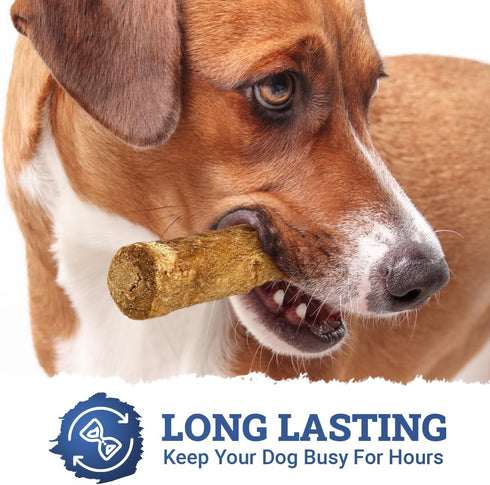 CHEWSAFE Premium Rolls Dog Chew Treats Beef Flavor Highly Digestible for Small Dogs, Pet Chew Treats Satisfy Dogs Natural Desire to Chew, Promote ...