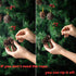 Whaline 25 Pcs 1.6-2.4 Inches Christmas Pine Cones Decoration with String, Natural Rustic Pinecones Bulk Ornaments for Crafting for Home Accent De...
