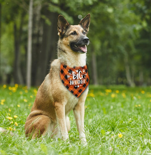 Dog Bandana, Big Brother Dog Bandana, Dog Scarf Plaid Printing, Dog Scarf Accessories, Dog Bandana Pet Scarf, Pet Plaid Scarf Gender Reveal Access...