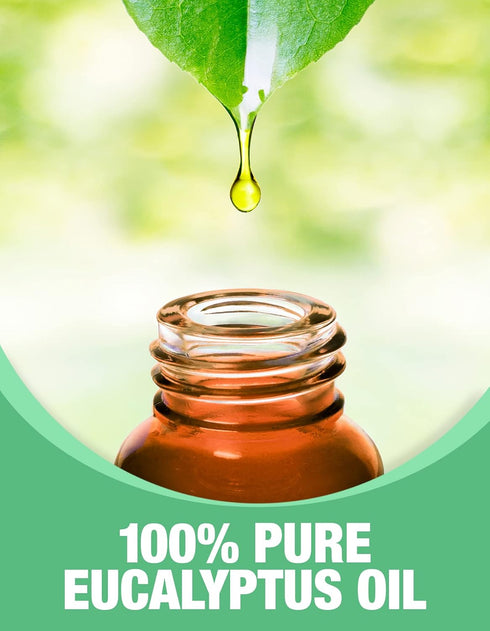 Ethereal Nature 100% Pure Oil, Eucalyptus, 1 Fluid Ounce (30 ml)...