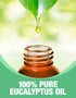 Ethereal Nature 100% Pure Oil, Eucalyptus, 1 Fluid Ounce (30 ml)...