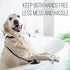 Dog Bathing Tether with Suction Cup for Pet Shower and Grooming...