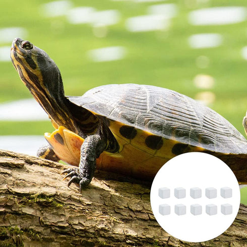 NUOBESTY 24pcs Fish Tank Calcium Stone Calcium Mineral Reptiles Molar Cube Calcium Supplement Grinding Rock Block for Freshwater Aquarium Tank...