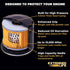 PG Oil Filter, Extended Life PG4651EX | Fits 1956-2020 various models of Acura, Cadillac, Chrysler, Dodge, Ford, Honda, Jeep, Land Rover, Lincoln,...