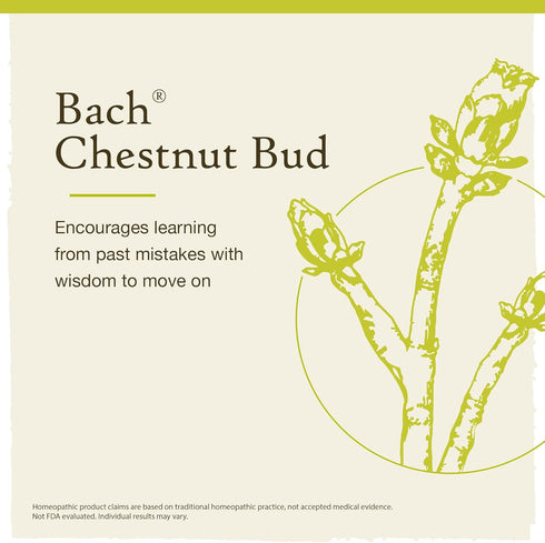Bach Original Flower Remedies, Chestnut Bud for Learning from Mistakes (Non-Alcohol Formula), Natural Homeopathic Flower Essence, Holistic Wellnes...