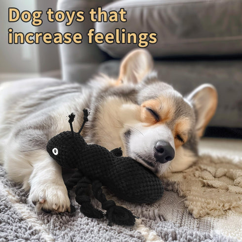ant Plush Dog Toys Which Puppy Stuffing and Ant Scream?Boring Interactive for Separation Anxiety Suitable for Small and Medium Dogs to Chew and Pl...