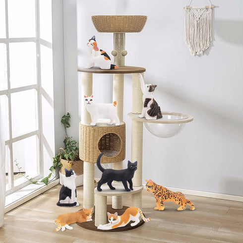 Toymany 8PCS Realistic Cat Figurines, Educational Cat Figures Toy Set, Kitten Easter Eggs Cat Cake Topper Christmas Birthday Gift for Kids Boys Gi...