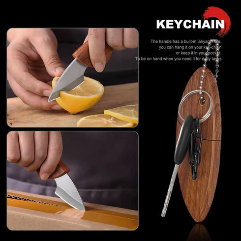 Small Pocket Knife Keychain Knife for Men with Sheath, Box Cutter Knife, EDC Pocket Knives for Outdoor Camping, Gifts for Dad husband Him...