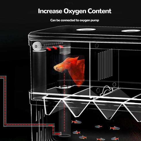 J-star Extra Large Fish Breeder Box, Acrylic Aquarium Breeder Box, Fish Isolation Box for Betta, Guppy, Killifish, Shrimp, Clownfish etc....